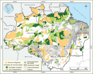 impunidade infratores1 300x240 - A Impunidade de Infratores Ambientais em Áreas Protegidas da Amazônia