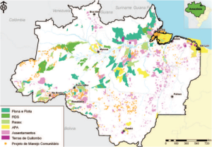manejoflorestalcomunitario6 300x208 - Manejo florestal comunitário na Amazônia brasileira: avanços e perspectivas para a conservação florestal