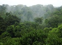 oferta e demanda de areas para manejo - Oferta e demanda de áreas para manejo florestal no Estado do Pará