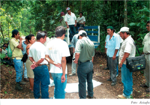 oficina de manejo10 300x210 - Oficina de Manejo Comunitário e Certificação Florestal na América Latina: Resultados e Propostas