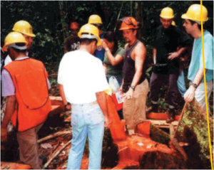 oficina de manejo9 300x239 - Oficina de Manejo Comunitário e Certificação Florestal na América Latina: Resultados e Propostas