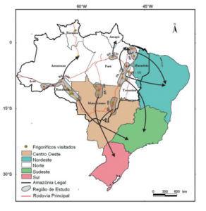 pecuaria desafios3 292x300 - Pecuária e desafios para a conservação ambiental na Amazônia