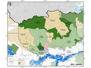 potencial economico4 300x225 - Potencial Econômico nas Florestas Estaduais da Calha Norte