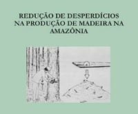 reducao de desperdicio p - Redução de Desperdício na Produção de Madeira na Amazônia (n° 5)