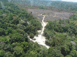spike imazon - Brazil data suggests spike in Amazon deforestation