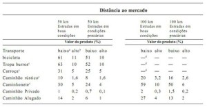 tabela39 300x156 - O Transporte Rural na Amazônia Oriental: limites, opções e oportunidades (n° 12)