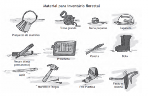 100 300x195 - Boas Práticas para Manejo Florestal e Agroindustrial - Produtos Florestais Não Madeireiros