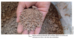 42 300x159 - Boas Práticas para Manejo Florestal e Agroindustrial - Produtos Florestais Não Madeireiros