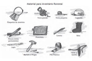 86 300x201 - Boas Práticas para Manejo Florestal e Agroindustrial - Produtos Florestais Não Madeireiros