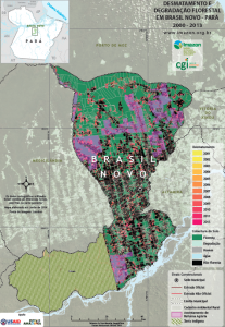brasil novo 207x300 - Desmatamento e Degradação Florestal em Brasil Novo - Pará (2000-2013)