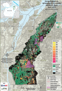 moju 207x300 - Desmatamento e Degradação Florestal em Moju - Pará (2000-2013)