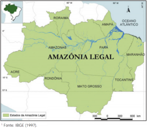 image 2 300x264 - Fatos Florestais da Amazônia 2005