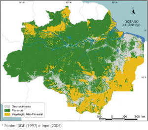 image 6 300x264 - Fatos Florestais da Amazônia 2005