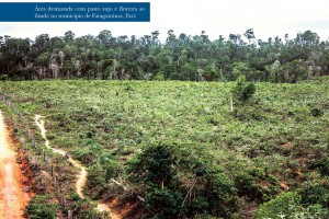 ITR img 01 300x200 - O potencial do Imposto Territorial Rural contra o desmatamento especulativo na Amazônia