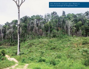 ITR img 02 300x234 - O potencial do Imposto Territorial Rural contra o desmatamento especulativo na Amazônia