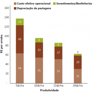 fig05 pecVerde 296x300 - O aumento da produtividade e lucratividade da pecuária bovina na Amazônia: o caso do Projeto Pecuária Verde em Paragominas