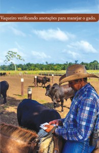 foto05 pecVerde 195x300 - O aumento da produtividade e lucratividade da pecuária bovina na Amazônia: o caso do Projeto Pecuária Verde em Paragominas