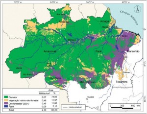1 300x233 - Pressão Humana na Floresta Amazônica Brasileira