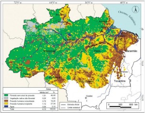 12 300x233 - Pressão Humana na Floresta Amazônica Brasileira