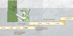 ciclo da borracha 300x151 - A floresta habitada: História da ocupação humana na Amazônia