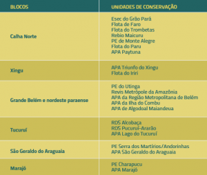 tab blocos UCs 300x254 - Desafios para a consolidação das Unidades de Conservação Estaduais do Pará