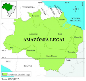 fig1 amazonialegal 300x281 - Fatos Florestais da Amazônia 2003