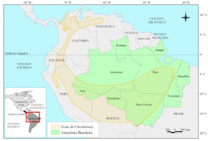 fig2 mognoAS 300x204 - MOGNO NA AMAZÔNIA BRASILEIRA: Ecologia e Perspectivas de Manejo