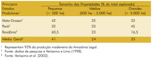 tab29 tamanhodaspropriedades 300x114 - Fatos Florestais da Amazônia 2003