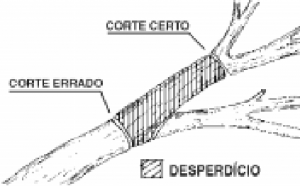 cap7 fig15 Erro 300x186 - Floresta para Sempre: um manual para a produção de madeira na Amazônia