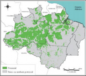 fig11 areaspotenciais 300x263 - Amazônia Sustentável: limitantes e oportunidades para o desenvolvimento rural