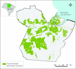 fig8 AreasPotenciais 300x271 - Pólos Madeireiros do Estado do Pará