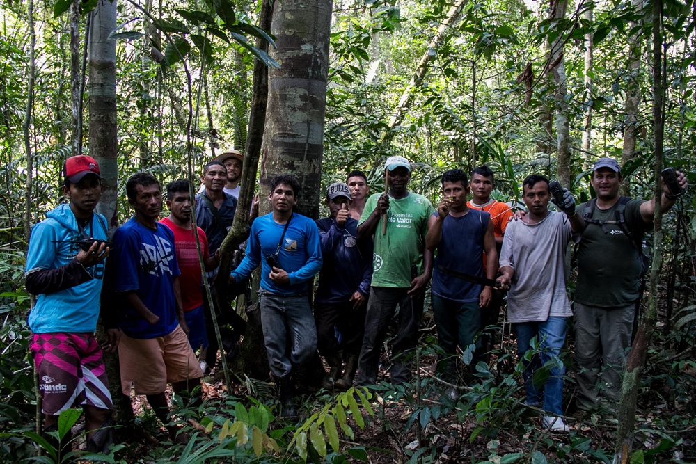 AlexFisberg PTS 17 7801 - Fortalecimento da Gestão Ambiental na Amazônia