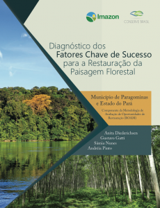 Captura de Tela 2017 06 27 às 12.20.20 230x300 - Diagnostic of Key Success Factors for Forest Landscape Restoration: Municipality of Paragominas and The State of Pará