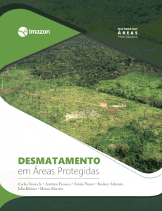 EstadoAps desmatamento1 230x300 - O Estado das Áreas Protegidas: desmatamento