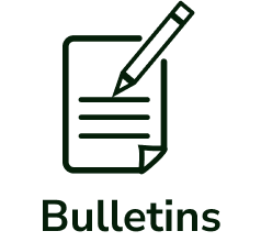 /categories/boletins?locale=en