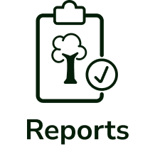 /categories/relatorios?locale=en