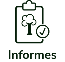 /categories/relatorios?locale=es