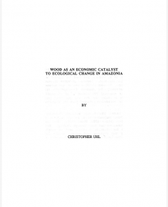 Captura de tela 2025 03 12 154724 244x300 - Wood as an economic catalystic to ecological change in Amazonia