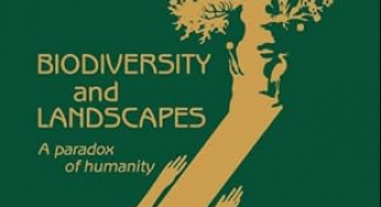 Lessons from aging the Amazon frontier: opportunities for genuine development