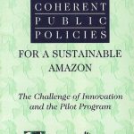Captura de tela 2025 02 17 134947 150x150 - Forestry Polices: believing in management