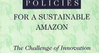 Forestry Polices: believing in management