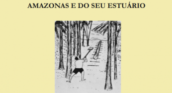 Padrões, Problemas e Potencial da Exploração Madeireira ao Longo do Rio Amazonas e do seu Estuário (n°4)