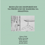 Captura de tela 2025 04 29 100524 150x150 - Redução de Desperdício na Produção de Madeira na Amazônia (n° 5)
