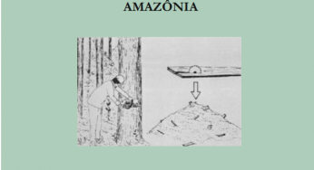 Redução de Desperdício na Produção de Madeira na Amazônia (n° 5)
