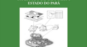 Zoneamento da Atividade Madeireira na Amazônia: um estudo de caso para o Estado do Pará (n° 8)
