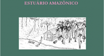 Oportunidades para o Desenvolvimento do Estuário Amazônico (n° 15)