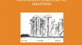 O Fogo na Floresta Explorada e o Potencial para a Redução de Incêndios Florestais na Amazônia (n°14)
