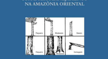 Os Danos da Exploração de Madeira Com e Sem Planejamento na Amazônia Oriental (n°16)