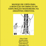 Captura de tela 2025 04 30 091852 150x150 - Manejo de Cipós para a Redução do Desperdício de Madeira na Amazônia Oriental (n°13)