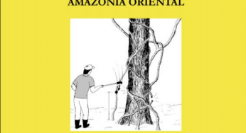 Manejo de Cipós para a Redução do Desperdício de Madeira na Amazônia Oriental (n°13)
